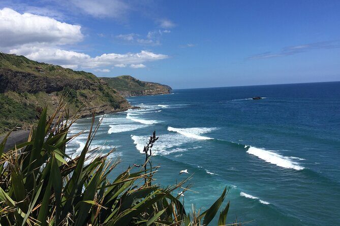 Vineyards Honey and Black Sand Beaches from Auckland - Kumeu River Wines: family-run winemaking and French barriques