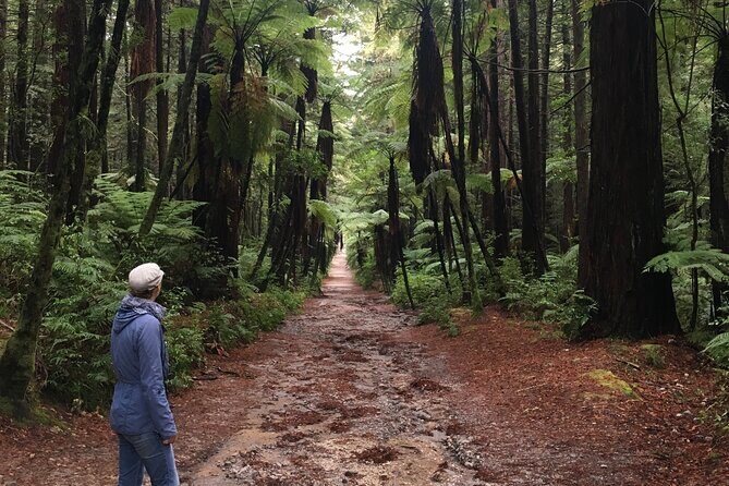 Volcanic Rotorua Day Trip from Auckland - Small group service: up to 5 means less waiting and more questions