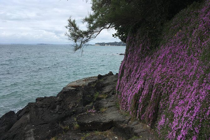 Volcanoes, Coasts, and Secret Spots Afternoon Tour in Auckland - Getting there and back: pickups, meeting point, and transport mix