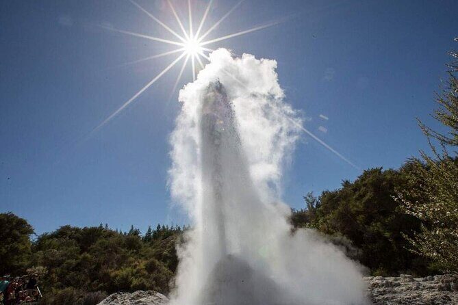 Wai-O-Tapu Geothermal Valley, & Hot River - Price and logistics: getting value out of a guided geothermal loop