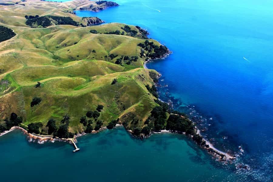 Waiheke Island: 30-Minute Scenic Flight - Price and what you really get for $118