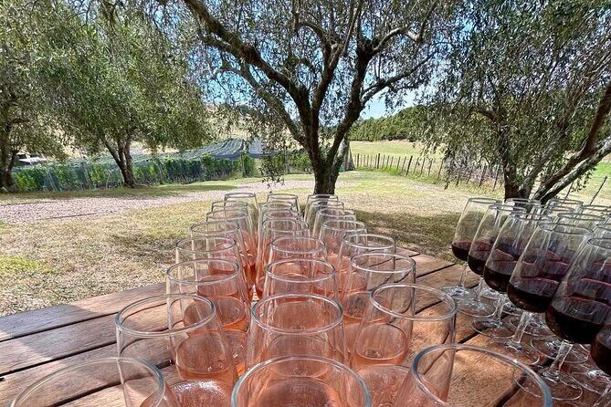Waiheke Island: Afternoon Wine Affair with Ocean Front Lunch - Postage Stamp Wines: small-lot, single-vineyard tasting focus