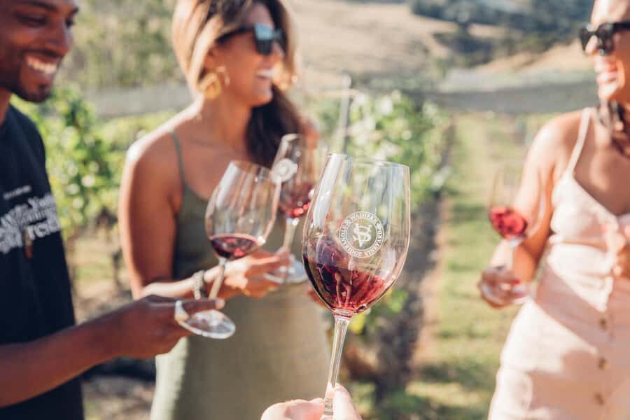 Waiheke Island: Afternoon Wine Tour with Oceanfront Lunch - Quick Take: What Makes This Waiheke Tour Work