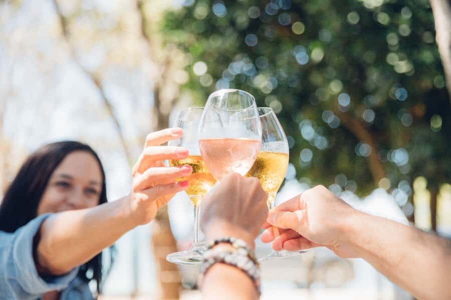 Waiheke Island: Afternoon Wine Tour with Oceanfront Lunch - Three Vineyards, One Guided Flow of Tastings