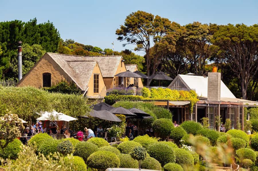 Waiheke Island: Afternoon Wine Tour with Oceanfront Lunch - KI Maha Lunch by the Water: The Real VIP Moment