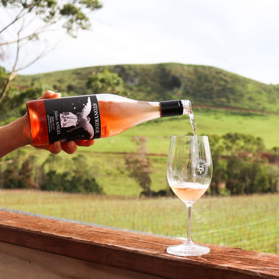 Waiheke Island: Afternoon Wine Tour with Oceanfront Lunch - Group Size, Bus Time, and the Noise Factor