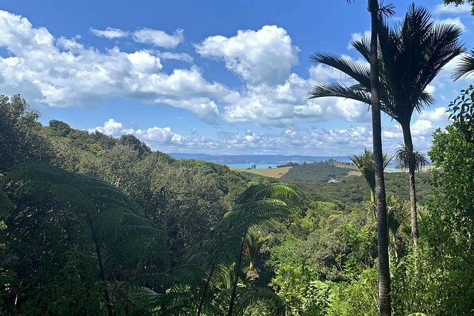Waiheke Island Bush & Beach Walk - The ending near the beach: when you can cool down or just unwind