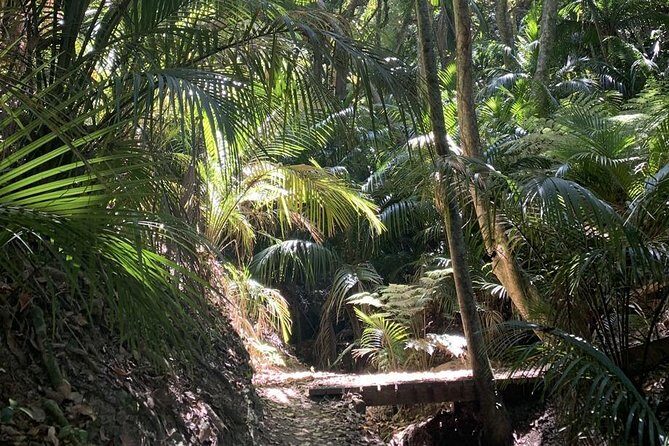 Waiheke Island Bush & Beach Walk - Guides who actually manage the day: Maria and Justin as examples