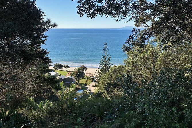 Waiheke Island Bush & Beach Walk - Packing for all-weather walking on Waiheke