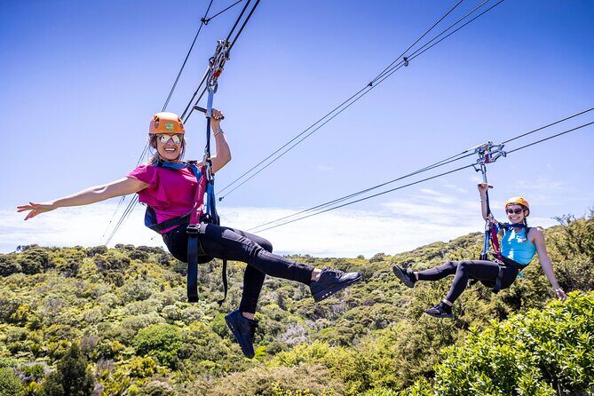 Waiheke Island Day Tour: Ziplining, Wine Tasting & Vineyard Lunch - Key highlights at a glance