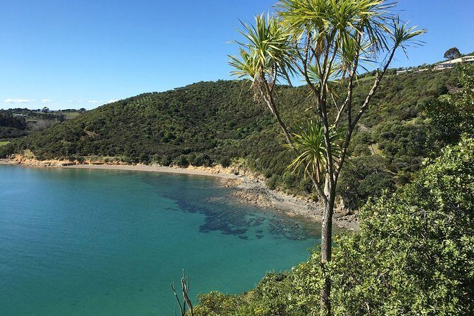 Waiheke Island Double Headland Coastal Walk - Oneroa village lunch: the slow-down you’ll be glad for