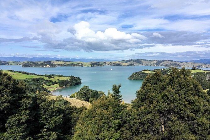 Waiheke Island Experience Tour - Price and value: what $340.05 buys (and what you’ll pay extra)