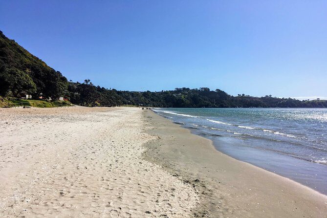 Waiheke Island Experience Tour - The guide makes the difference: Onny and Steve’s style