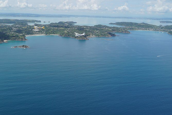 Waiheke Island - Fly and Dine (from North Shore Airport) - Why Flying to Waiheke Feels Like a Cheat Code From Auckland