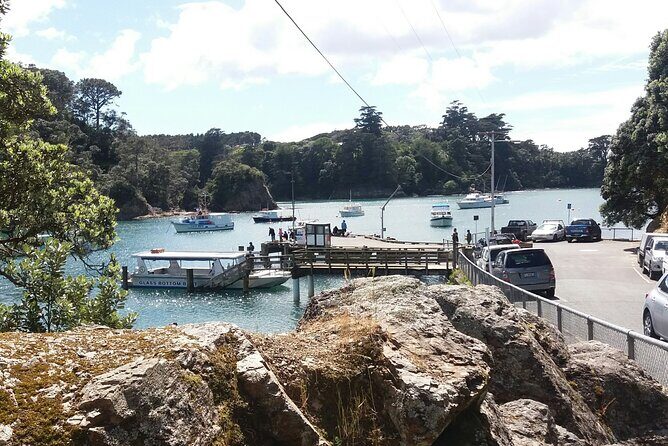 Waiheke Island - Fly and Dine (from North Shore Airport) - The Winery Meal: Three Courses and a Glass of Local Wine