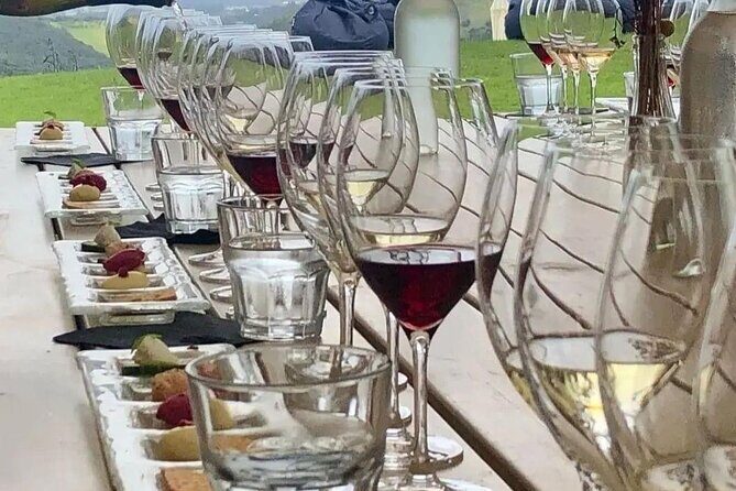 Waiheke Island Gourmet Food and Wine Tour - Allpress Olive Groves: where the tasting gets specific