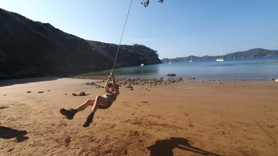 Waiheke Island: Gulf Marine Park Sailing Adventure & Lunch - Price and value: is $388 worth a 7-hour eco sail?