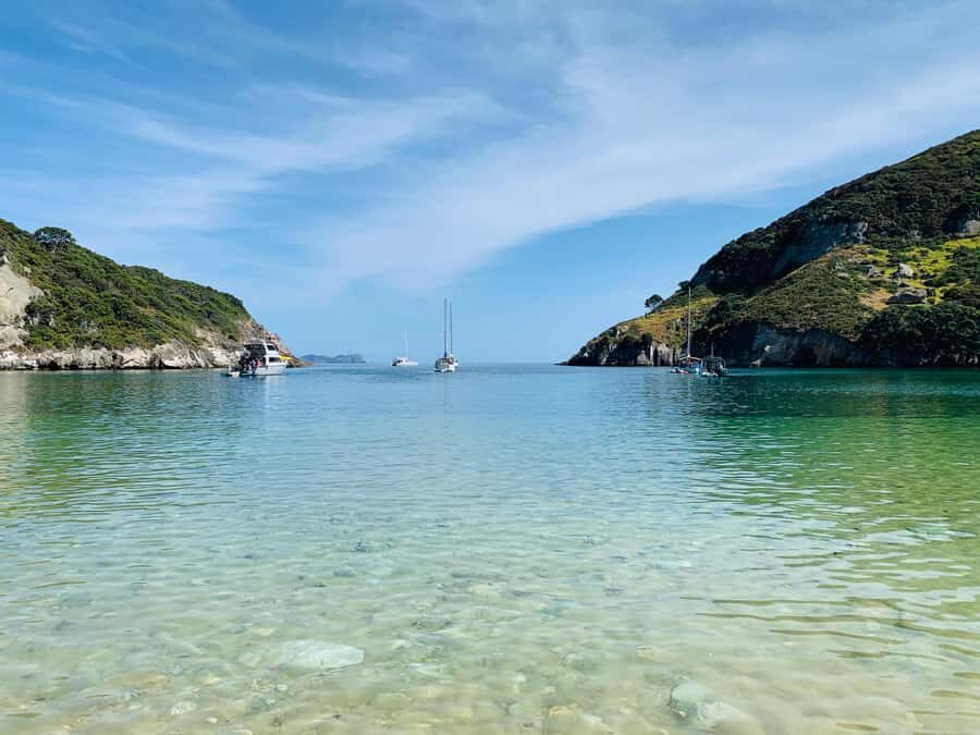 Waiheke Island: Gulf Marine Park Sailing Adventure & Lunch - Lunch onboard: local produce, real comfort, no fuss