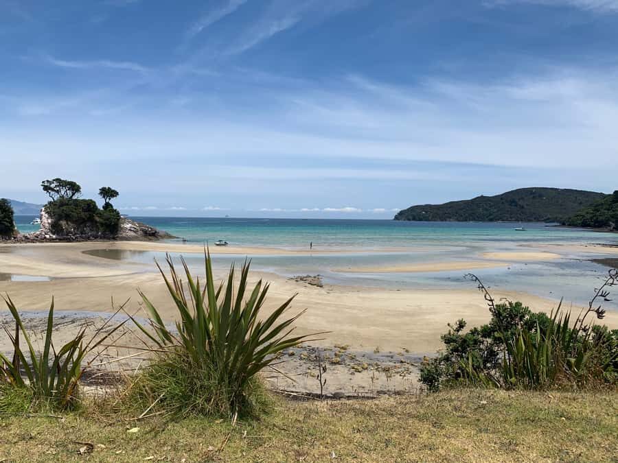 Waiheke Island: Gulf Marine Park Sailing Adventure & Lunch - What small-group energy changes (and why it’s a big deal)