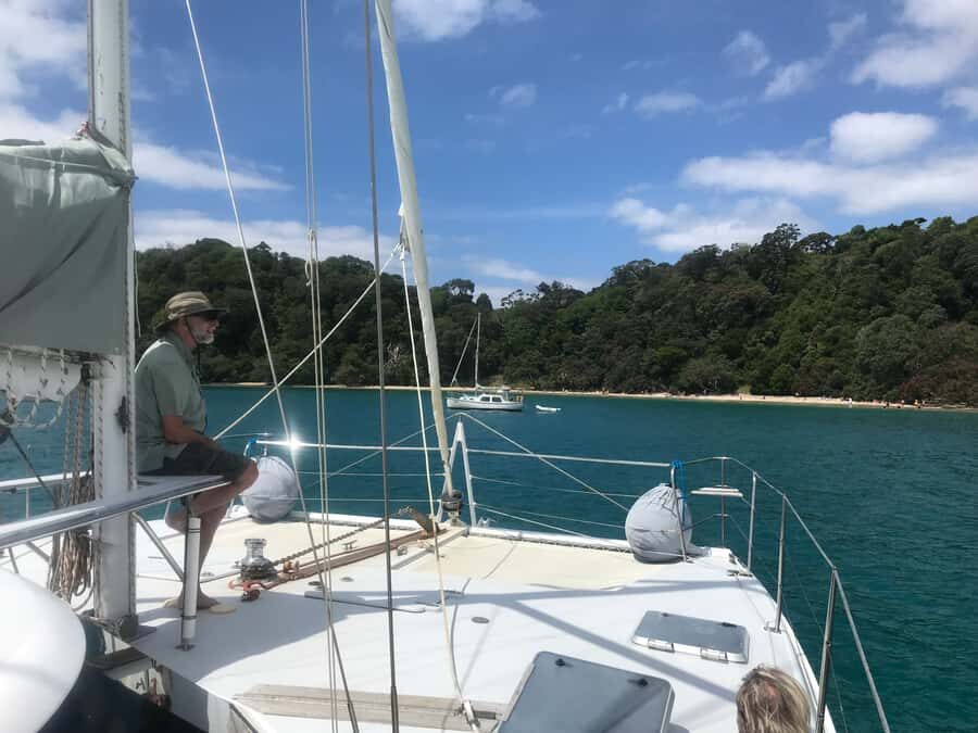 Waiheke Island: Gulf Marine Park Sailing Adventure & Lunch - Matiatia Wharf check-in and what to bring