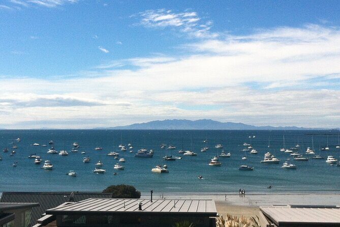 Waiheke Island Half Day Scenic Wine and Lunch - Stop two at Goldie Estate or Stonyridge: lunch, a glass, and a change-up day