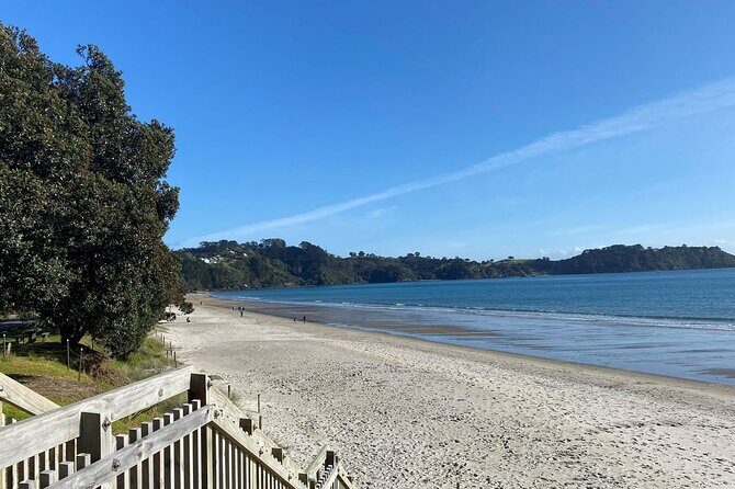 Waiheke Island Half Day Scenic Wine and Lunch - The drive between stops: where the guide story matters