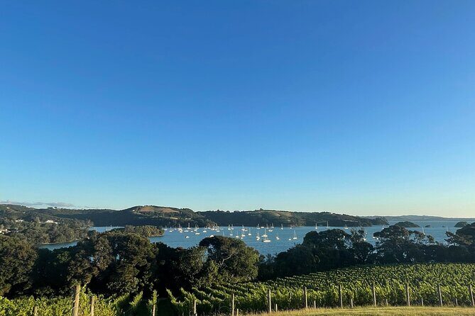 Waiheke Island Half Day Scenic Wine and Lunch - What’s included with lunch and tastings (and what you should expect)
