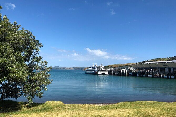 Waiheke Island Half Day Scenic Wine and Lunch - Small-group comfort: max 18 and why it changes the whole feel