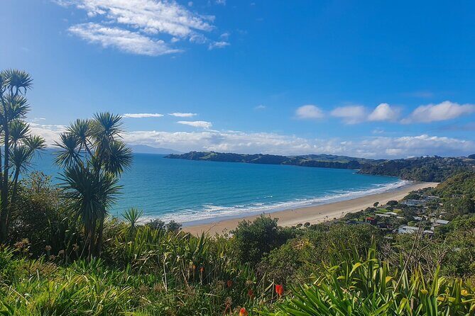 Waiheke Island Half Day Scenic Wine and Lunch - Price and value: what $170.66 buys you on Waiheke