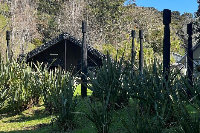 Waiheke Island History and Heritage Tour - Waiheke from a Māori lens, not a cruise-ship checklist