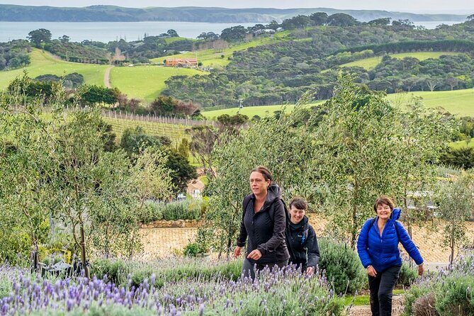 Waiheke Island History and Heritage Tour - Time management and the 4pm ferry return
