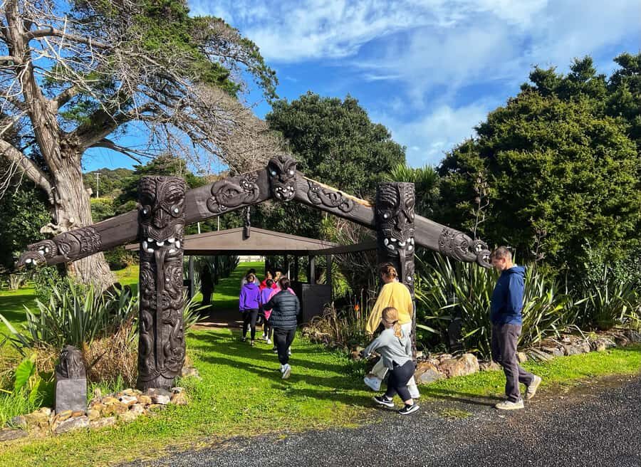 Waiheke Island: Maori Cultural Tour + Lunch + Wine - Key things I’d watch for