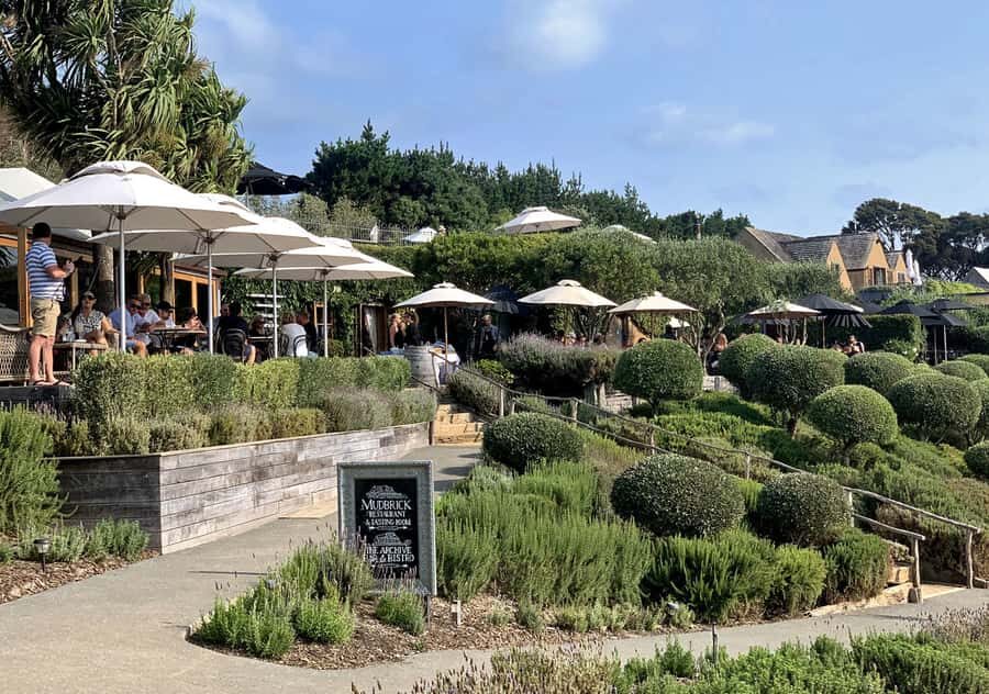 Waiheke Island: Premium Vineyard, Wine Tasting and Bush Walk - What to bring for a rain-friendly walk and 18+ tastings