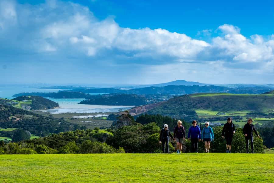 Waiheke Island: Premium Vineyard, Wine Tasting and Bush Walk - Getting to Waiheke: the 9:00 AM ferry plan and the sign to find