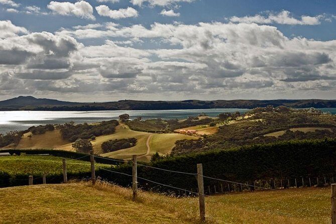 Waiheke Island Private Art Tour - Stop 1: Waiheke Community Art Gallery and the island’s art connection