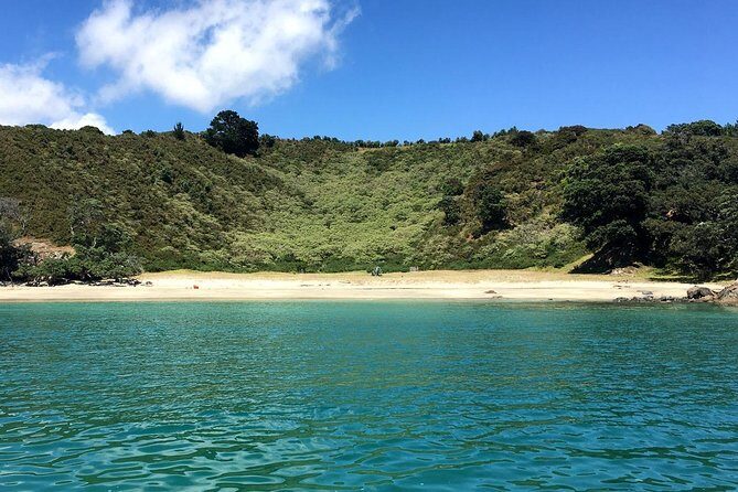 Waiheke Island Private Art Tour - Lunch at a painter’s studio: where the day slows down