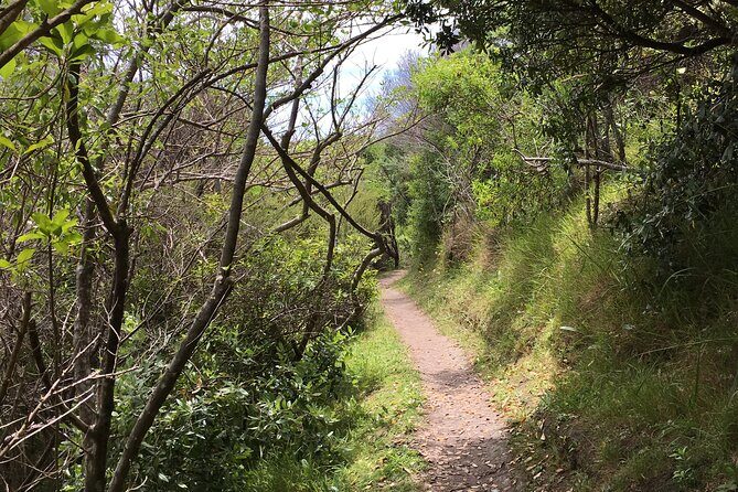 Waiheke Island Private Double Headland Walk - Price and value: what you’re paying for at $418.89 per person