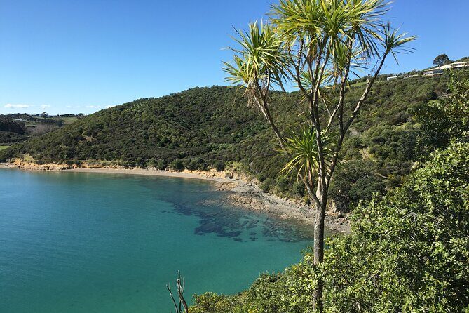 Waiheke Island Private Double Headland Walk - Timing, route order, and why tides actually matter