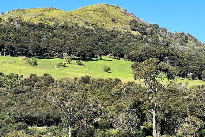 Waiheke Island Private History and Heritage Tour - Waiheke beaches and stories that connect coast to culture