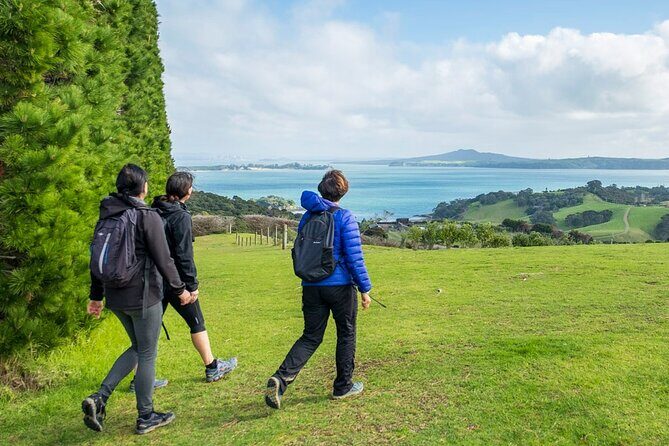 Waiheke Island Private History and Heritage Tour - Native bush walk: medicinal plants, pa archaeology, and birdsong
