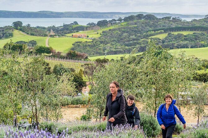 Waiheke Island Private History and Heritage Tour - Lunch at a local café: a chance to reset, not a grand included meal