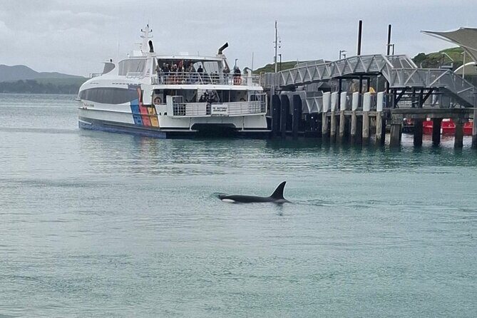 Waiheke Island Private Tours - Meet Briar: the local guide with a jazz radio in her back pocket