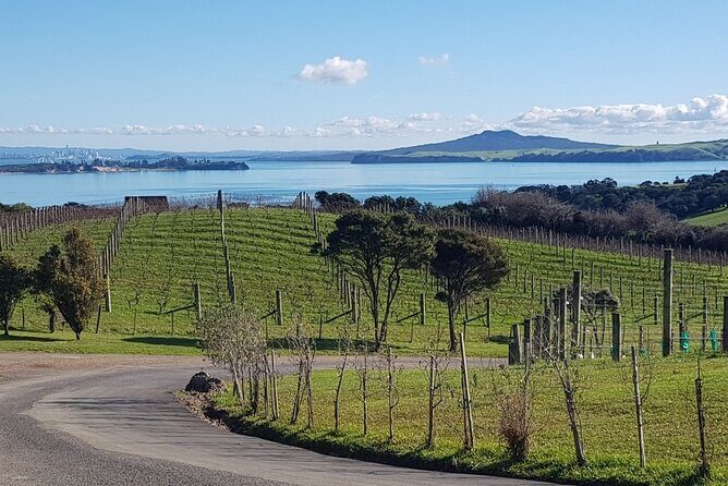 Waiheke Island Private Tours - Who should book Briar’s Jazz Cab Tours (and who might not)