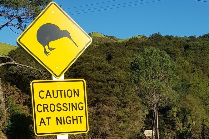 Waiheke Island Private Tours - Crafting your day: pick wineries, Mudbrick, Man O War, Tantalus, beaches, and more