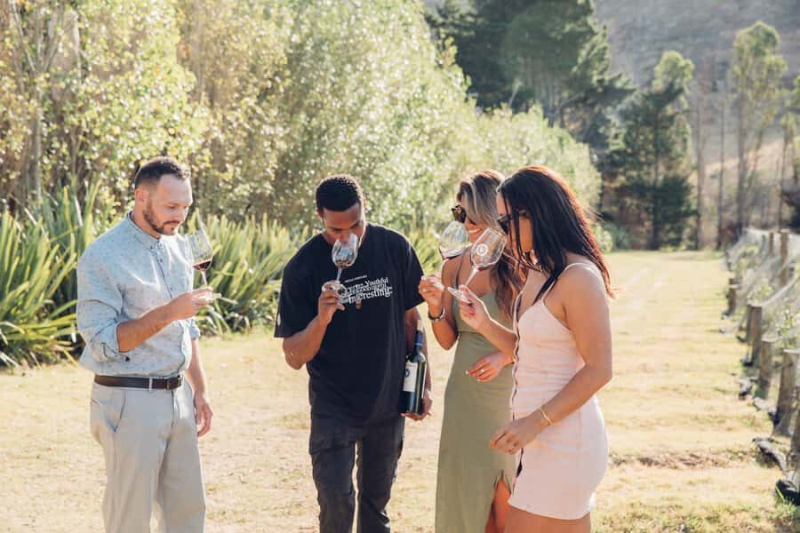 Waiheke Island: Scenic Island Wine Tour & Local Wine Tasting - 5-hour bus circuit vs 4-hour double-decker: pick based on how you want your day to feel