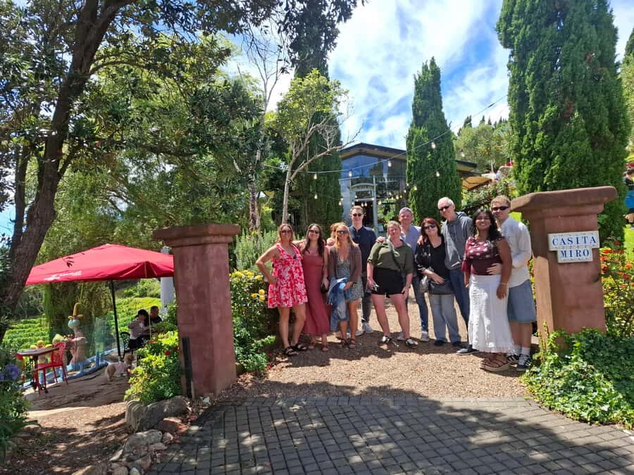 Waiheke Island: Sip and Savor 3 Vineyards Tour with Lunch - How the small-group van and local guides change the day