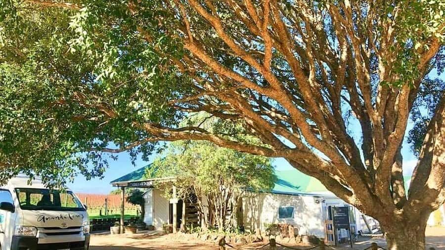 Waiheke Island: The Essence of Waiheke Wine Tour - The guide experience: where the day becomes more than wine