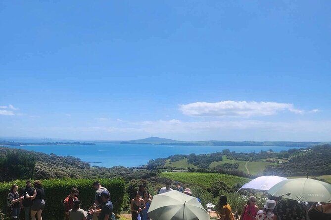 Waiheke Island Wine Tour with Tastings & Gourmet Beachfront Lunch - Key highlights at a glance
