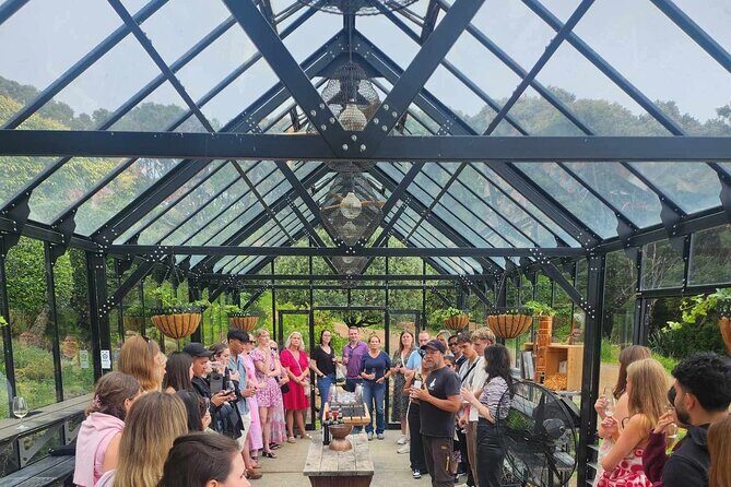 Waiheke Island Wine Tour with Tastings & Gourmet Beachfront Lunch - Why this half-day Waiheke wine plan is a smart use of your time