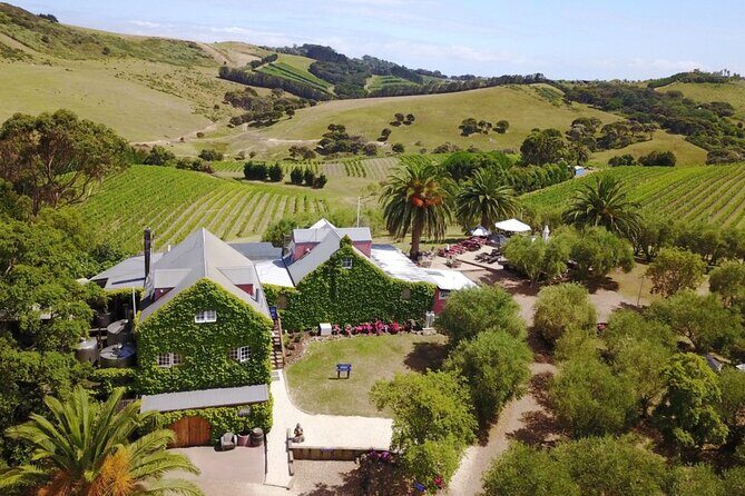 Waiheke Island Wine Tour with Tastings & Gourmet Beachfront Lunch - Stop 4: Postage Stamp Wines (or Te Motu) with sea views